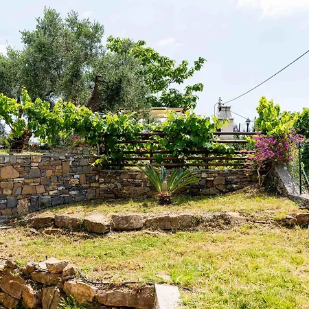 Rose By Interhome דירה *